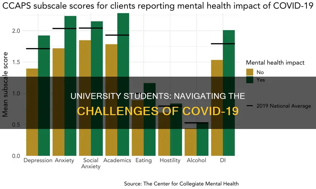 how are university students affected by covid 19