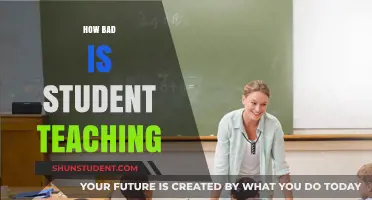 The Harsh Realities of Student Teaching: Challenges and Growth