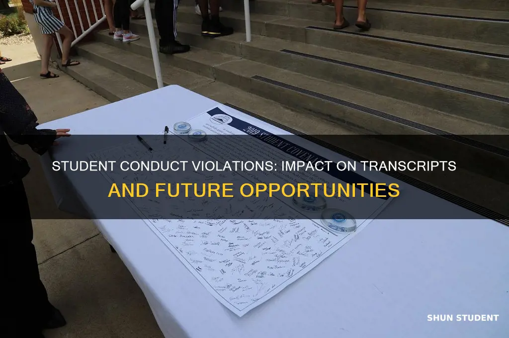 how bad will student conduct violation be on my transcripts