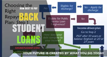 Smart Strategies to Repay Student Loans