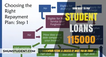 Smart Strategies to Repay Student Loans of $115,000