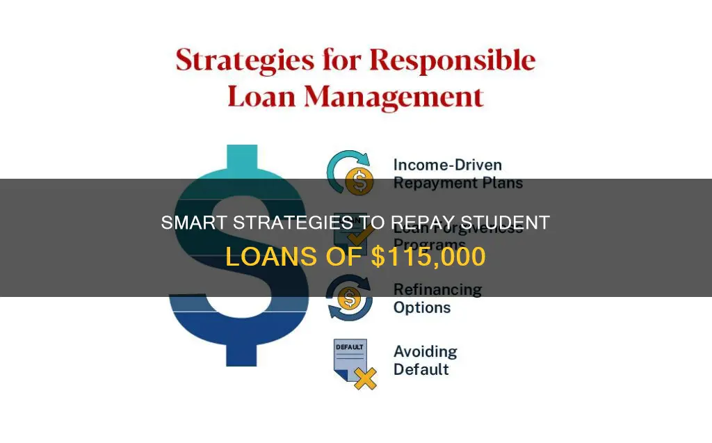 how best to pay student loans 115000