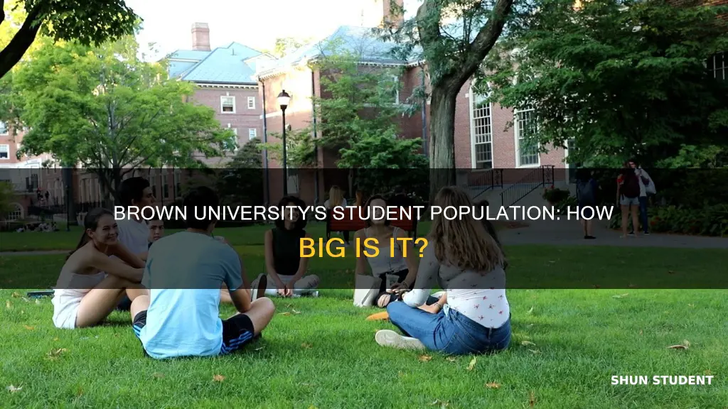 how big is brown university