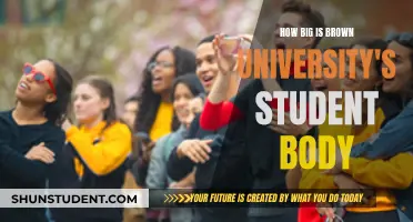Brown University's Student Body: A Comprehensive Size Guide