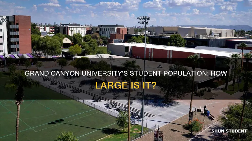 how big is student population at grand canyon university