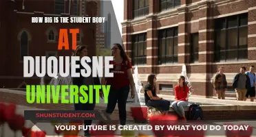 Duquesne University Student Body: Size and Community