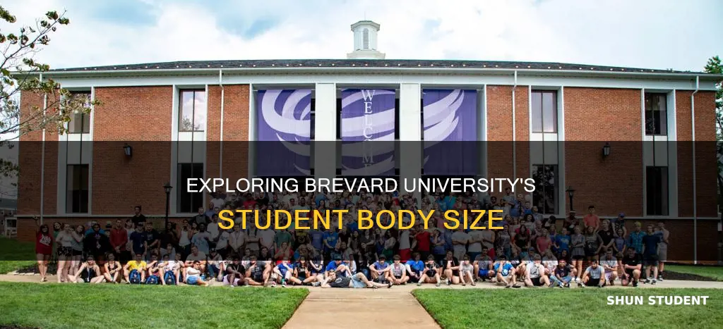 how big is the student body of brevard university