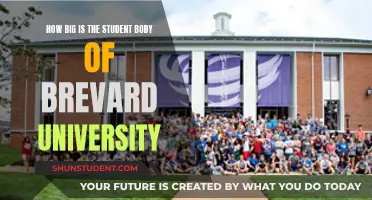 Exploring Brevard University's Student Body Size
