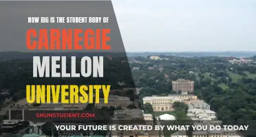 Exploring Carnegie Mellon's Student Body Size