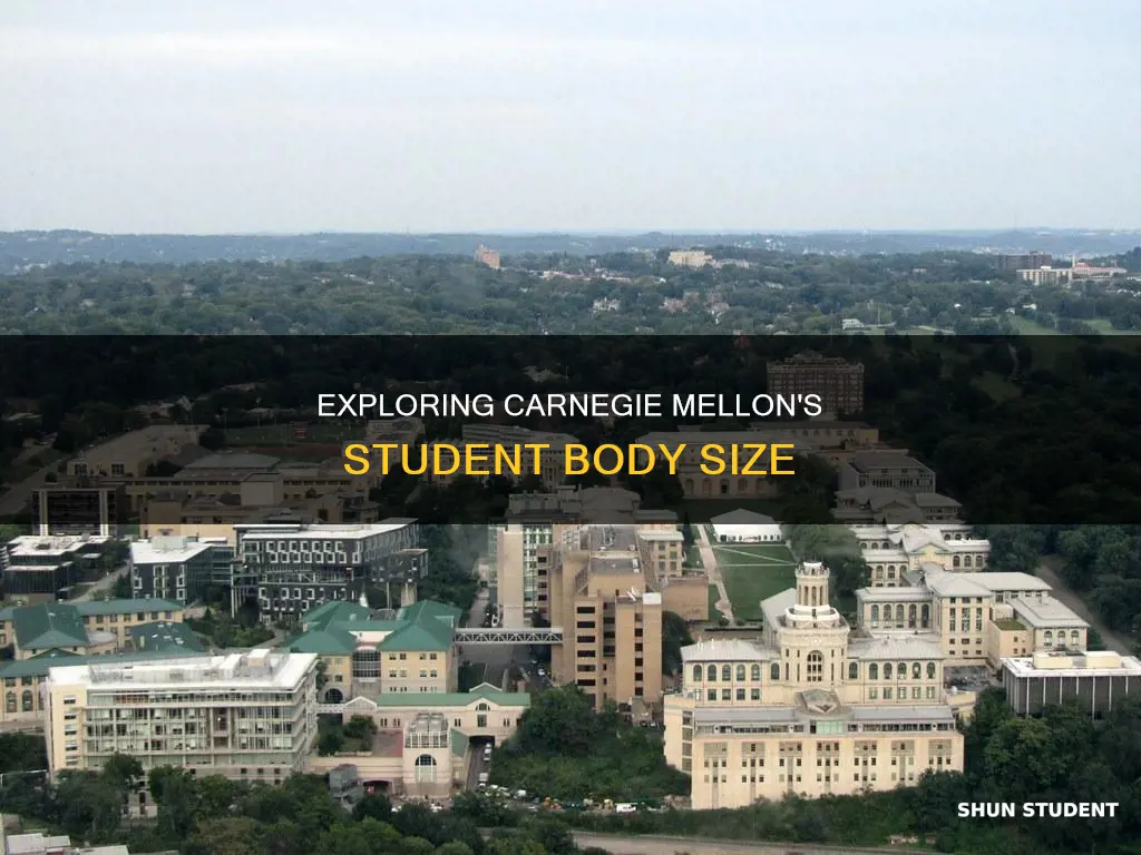 how big is the student body of carnegie mellon university