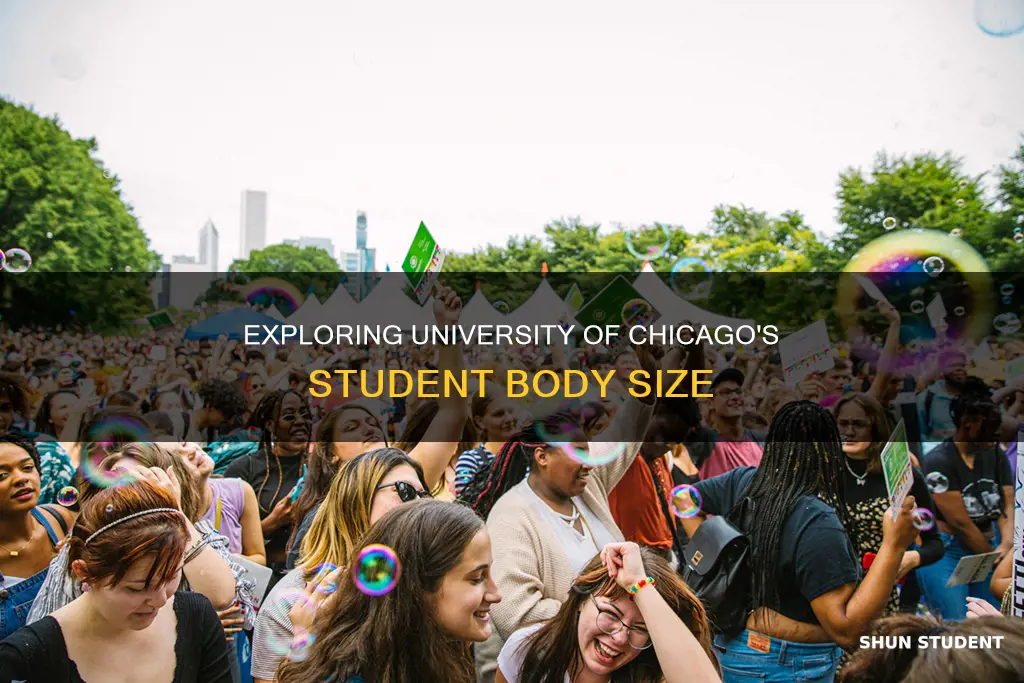 how big is university of chicago students