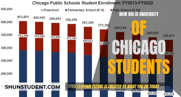 Chicago Students: A Diverse and Vibrant Community
