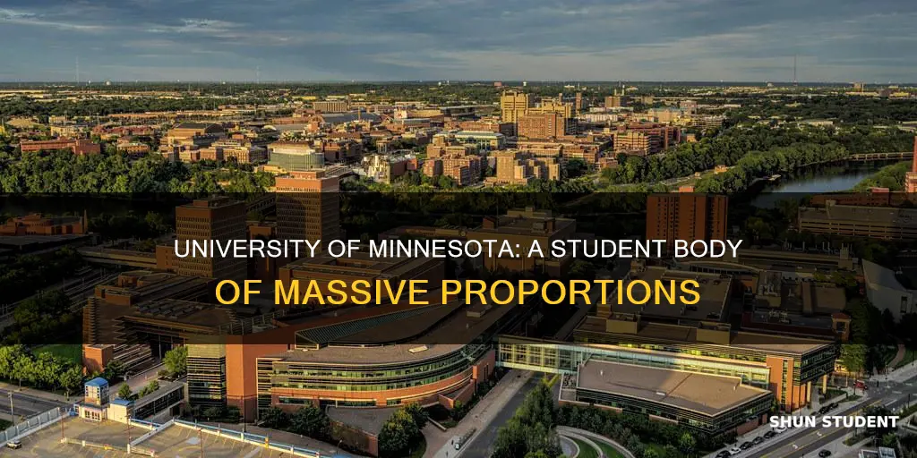 how big is university of minnesota student