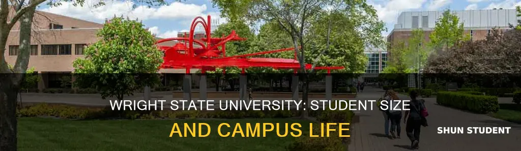 how big is wright state university student size