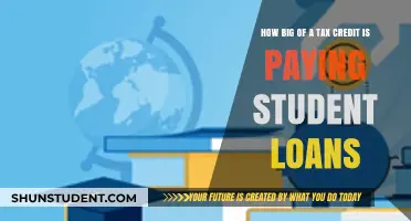 Student Loan Tax Credit: How Much Can You Claim?