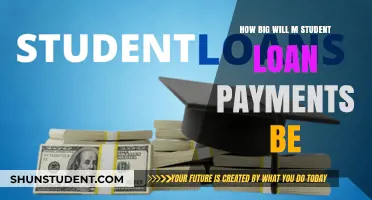 Understanding Your Student Loan Payments: Size, Factors, and Repayment Strategies