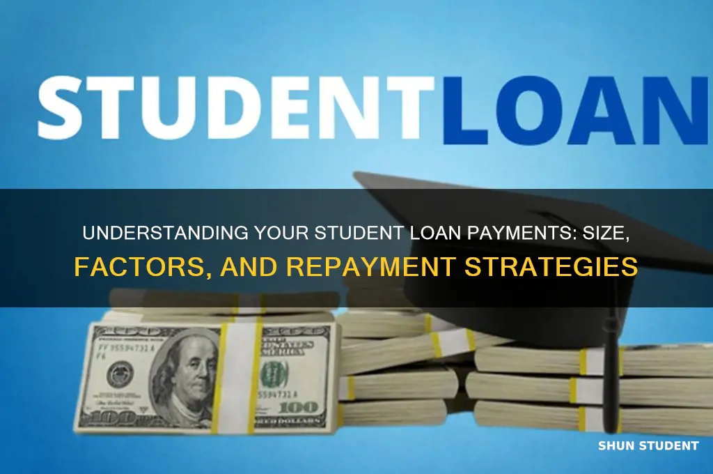 how big will m student loan payments be