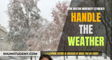 Weathering the Storm: Boston University Students' Strategies