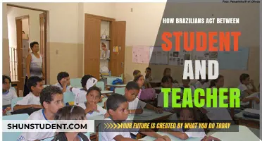 Brazilian Classroom Dynamics: Student-Teacher Relationships and Cultural Insights