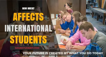 Brexit's Impact: International Students' Plight