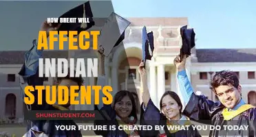 Brexit's Impact: Indian Students' UK Education and Career Prospects
