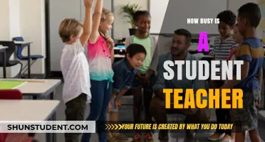 Balancing Act: Unveiling the Demanding Life of a Student Teacher