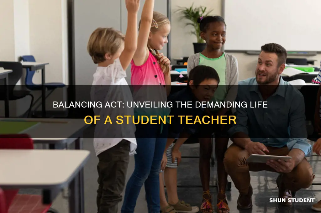 how busy is a student teacher