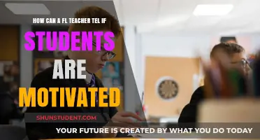 Spotting Student Motivation: Key Indicators for FL Teachers to Observe