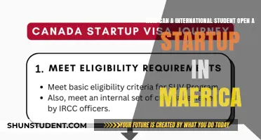 Opening a Startup in America as an International Student