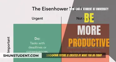 Productivity Hacks: University Students' Success Secrets