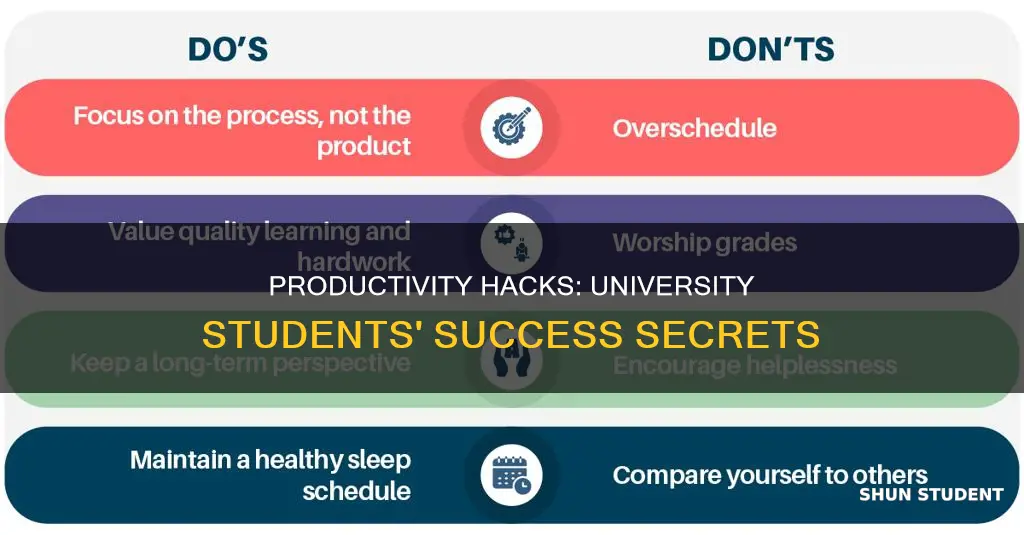 how can a student at university be more productive