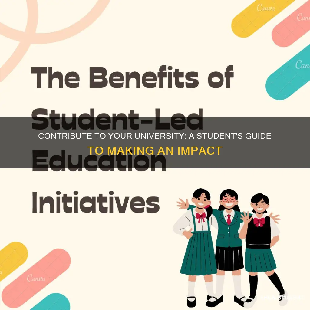 how can a student contribute to a university