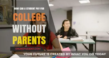 Funding College: Strategies for Students Without Parental Support