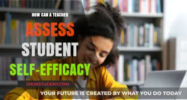 Assessing Student Self-Efficacy: Strategies for Teachers to Measure Confidence