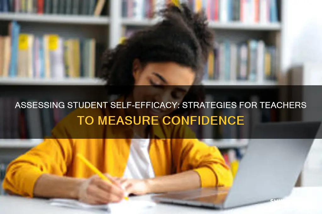 how can a teacher assess student self-efficacy