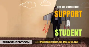 Empowering Students: Effective Strategies for Teachers to Provide Optimal Support