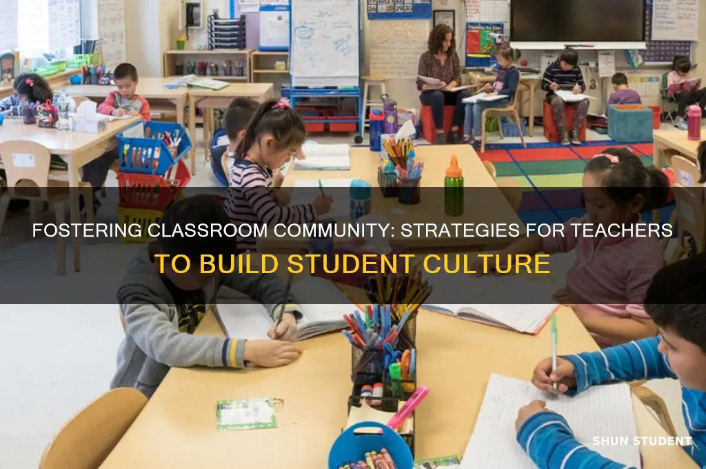 how can a teacher build culture with students