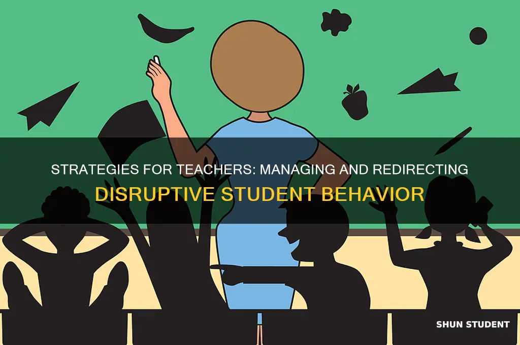 how can a teacher deal with disruptive students