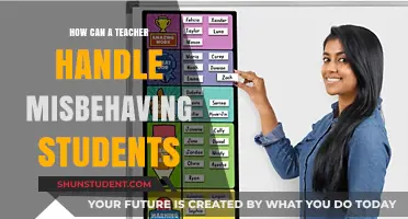 Effective Strategies for Teachers to Manage and Redirect Misbehaving Students