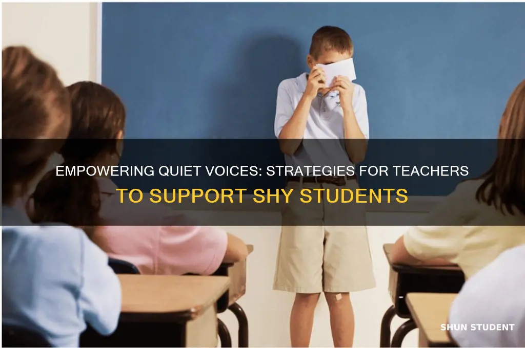 how can a teacher help a shy student