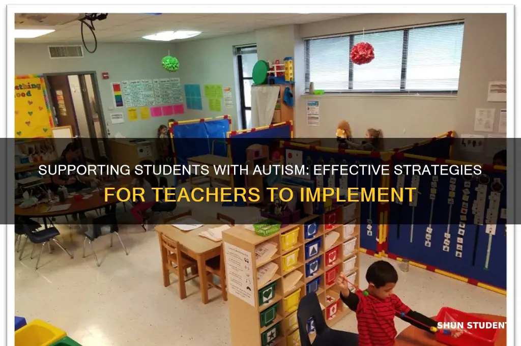 how can a teacher help a student with autism