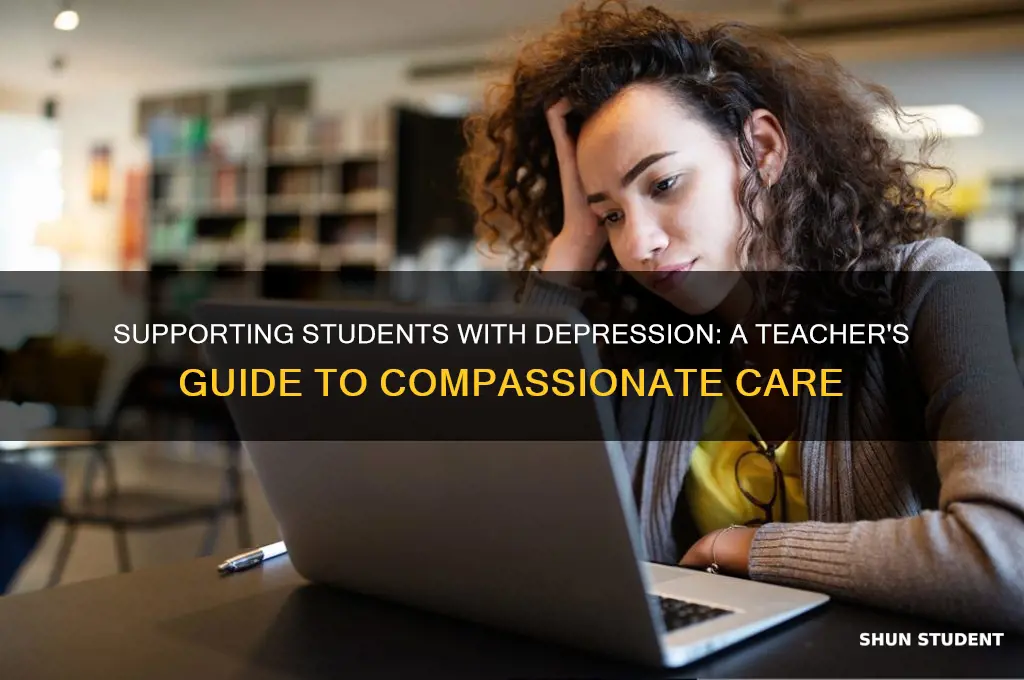 how can a teacher help a student with depression