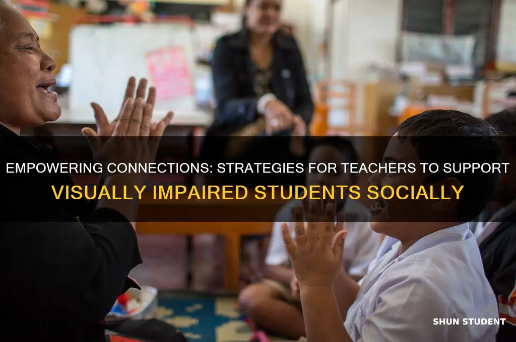 how can a teacher help a visually impaired student socially