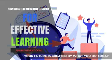 Inspiring Minds: Strategies for Teachers to Motivate Students Effectively