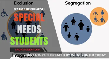 Empowering Special Needs Students: Strategies for Teachers to Foster Inclusion
