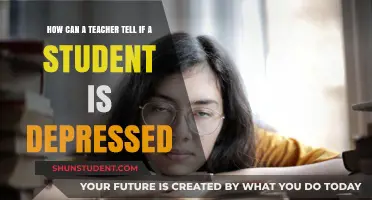 Recognizing Depression in Students: A Teacher's Guide to Subtle Signs
