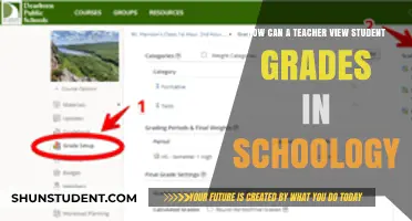 Viewing Student Grades in Schoology: A Teacher's Step-by-Step Guide