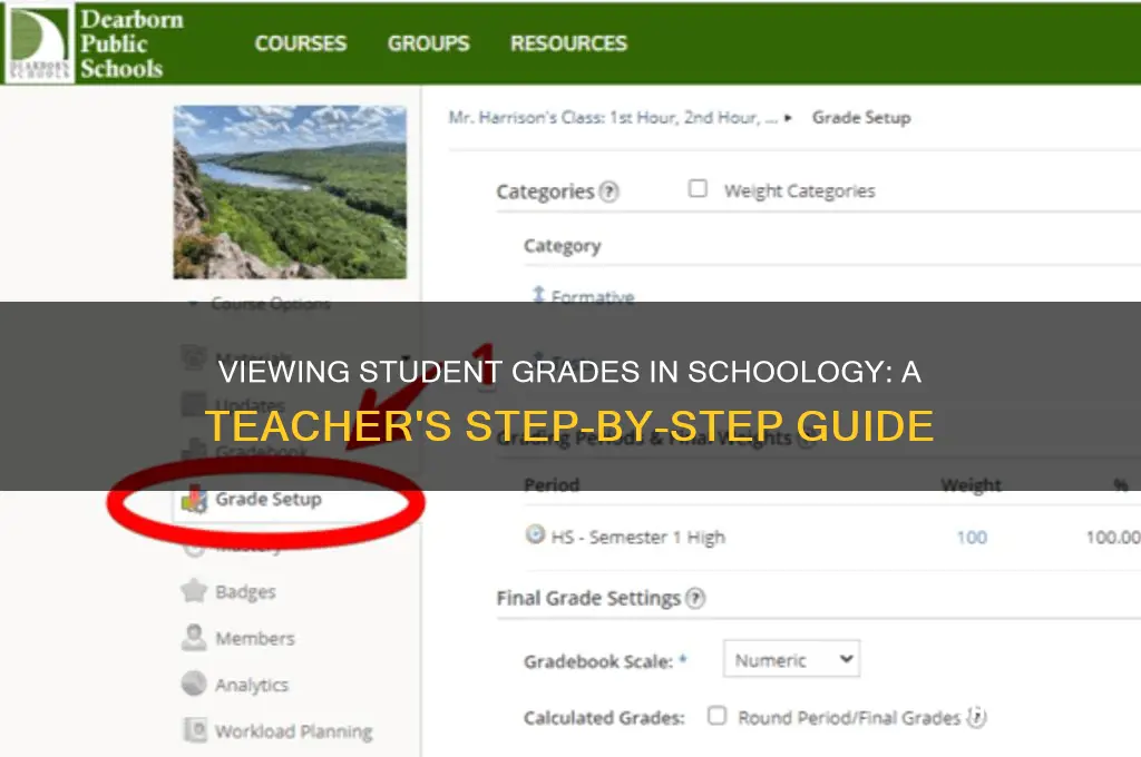 how can a teacher view student grades in schoology