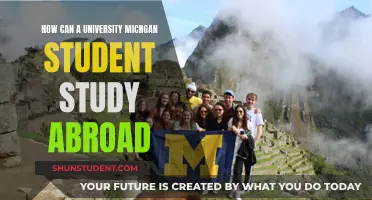 Michigan Students: Your Guide to Studying Abroad