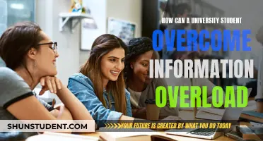 Managing Information Overload: Strategies for University Students